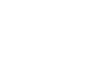 accionerv.cl